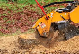  Findlay, OH Tree Care Pros